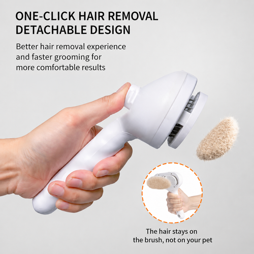 Pet Spray Steam Brush